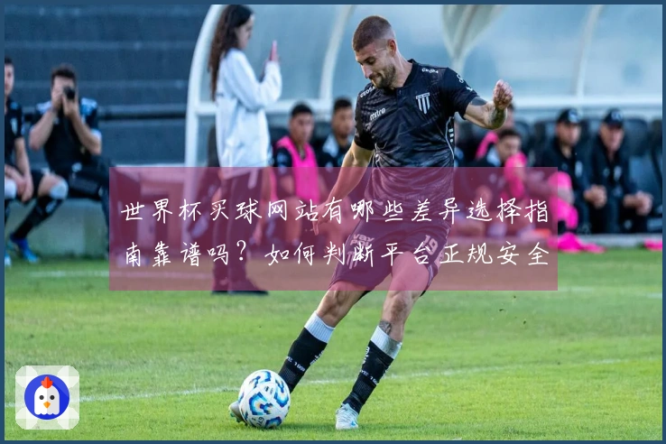 世界杯买球网站有哪些差异选择指南靠谱吗？如何判断平台正规安全