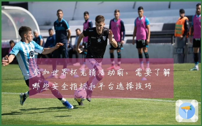 参加世界杯竞猜活动前，需要了解哪些安全指标和平台选择技巧