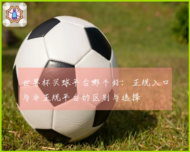 世界杯买球平台哪个好：正规入口与非正规平台的区别与选择