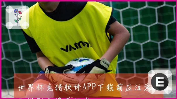 世界杯竞猜软件APP下载前应注意哪些规则和资质核查